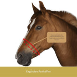 Pferdepolster mit dem Namen "r3vobanD" in der Farbe Schwarz. Verbessert deine Verbindung zu deinem Pferd . . . spüre den Unterschied. Erhältlich unter www.Hotti24.de. Für Englisches Reithalfter