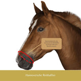 Pferdepolster mit dem Namen "r3vobanD" in der Farbe Braun.  Verbessert deine Verbindung zu deinem Pferd . . . spüre den Unterschied. Für Hannoversche Reithalfter. Erhältlich unter www.Hotti24.de.