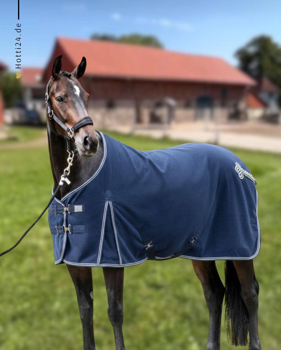 schwarze-equestrian-abschwitzdecke-blue-kaufen-www.hotti24.de