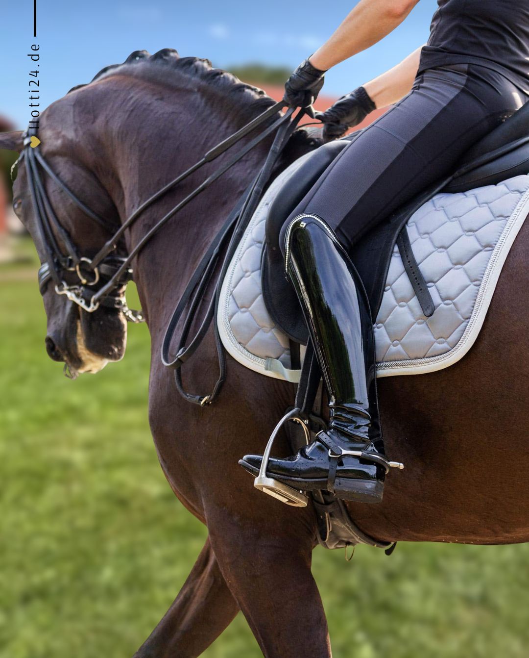 Schwarze Equestrian »Dressurschabracke Grey