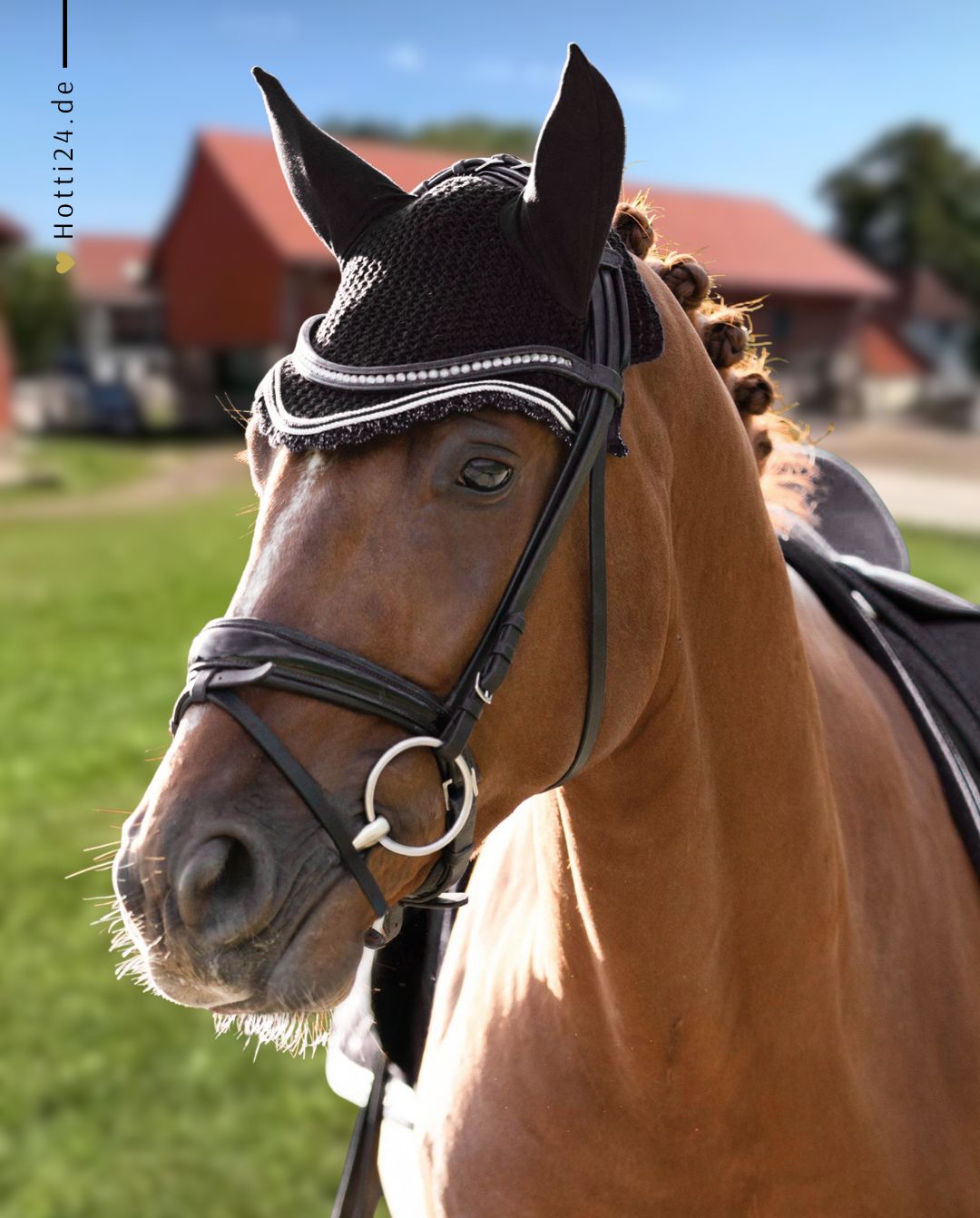 Schwarze Equestrian »Fliegenhaube Black