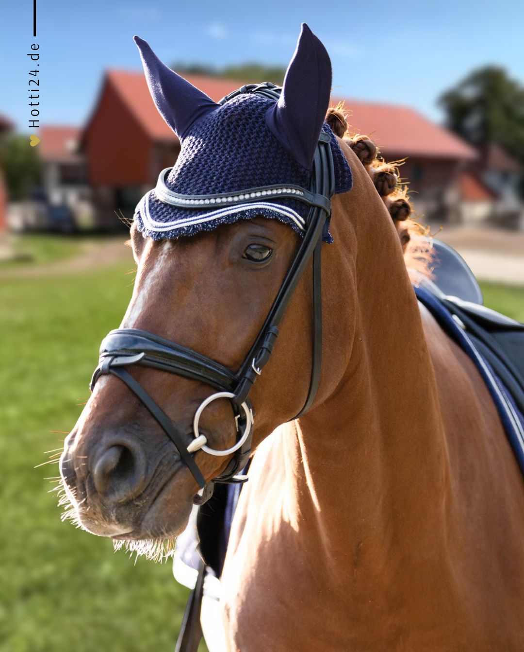 schwarze-equestrian-fliegenhaube-navy-kaufen-www.hotti24.de