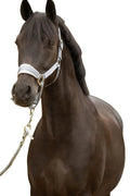Schwarze Equestrian Halfter & Strick Set Grau
