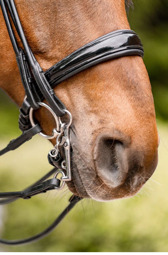 SPRENGER »Bit KK Ultra Loose Ring Snaffle Double Jointed