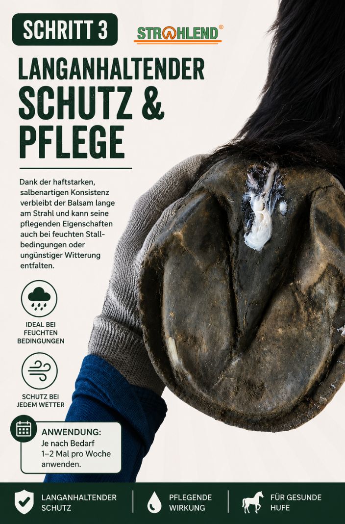 strahlend-pferde-strahlbalsam-strahlfaeule-anwendung-3