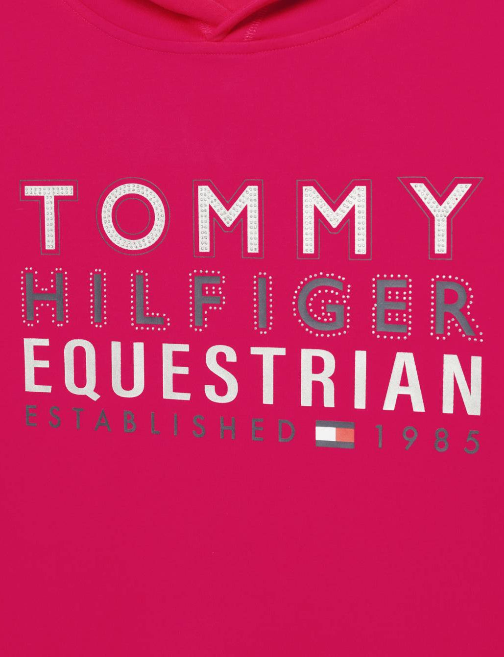 Damen-Hoodie von Tommy Hilfiger mit der Bezeichnung "Hoodie Paris TH08WHOO441-040" in der Farbe Pink. Dieser Hoodie ist auf der Webseite www.hotti24.de erhältlich. Er wurde speziell für Damen entworfen, um sowohl Stil als auch Komfort zu bieten.  Zusätzlich sind in der Datei Bilder des Hoodies aus verschiedenen Blickwinkeln enthalten: von vorne, von der Seite und von hinten. 