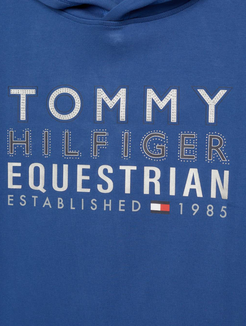 Damen-Hoodie von Tommy Hilfiger mit der Bezeichnung "Hoodie Paris TH08WHOO441-041" in der Farbe Blau. Dieser Hoodie ist auf der Webseite www.hotti24.de erhältlich. Er wurde speziell für Damen entworfen, um sowohl Stil als auch Komfort zu bieten.  Zusätzlich sind in der Datei Bilder des Hoodies aus verschiedenen Blickwinkeln enthalten: von vorne, von der Seite und von hinten. 