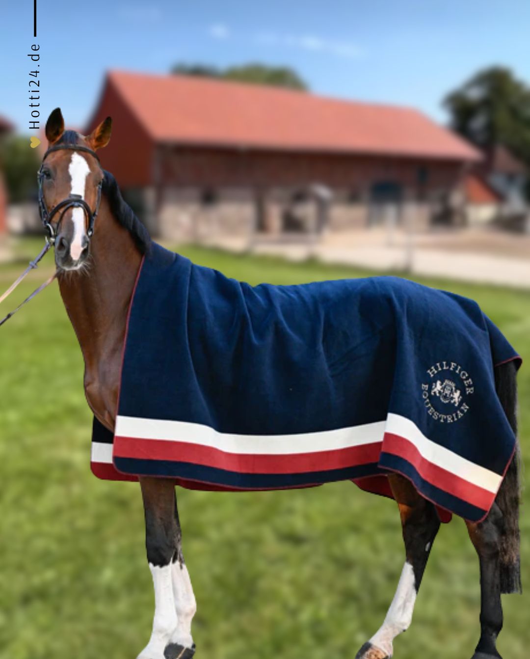 tommy-hilfiger-equestrian-abschwitzdecke-hillsdale-square-multi-th16hrug945-045-kaufen-www.hotti24.de