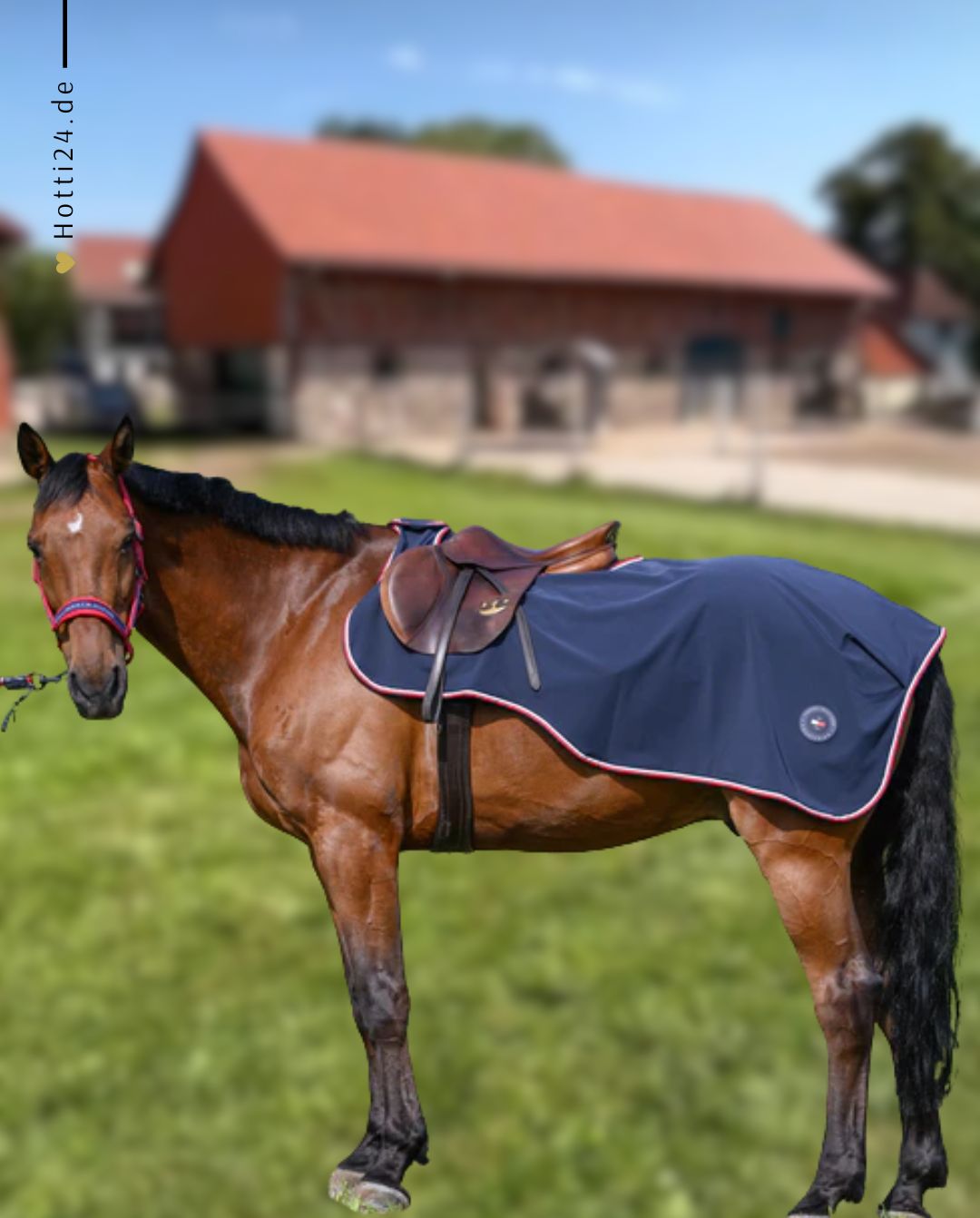 Tommy Hilfiger Equestrian »Ausreitdecke Springfield Desert Sky