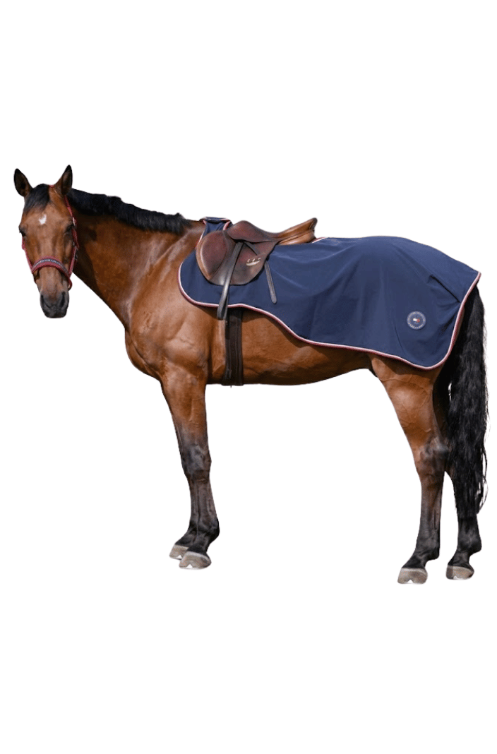 Tommy Hilfiger Equestrian »Exercise Sheet Springfield Desert Sky