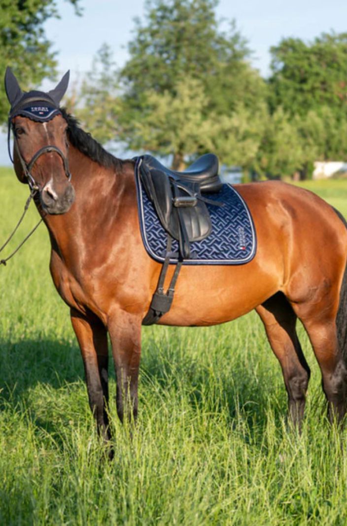 Tommy Hilfiger Equestrian Dressurschabracke Windsor Desert Sky