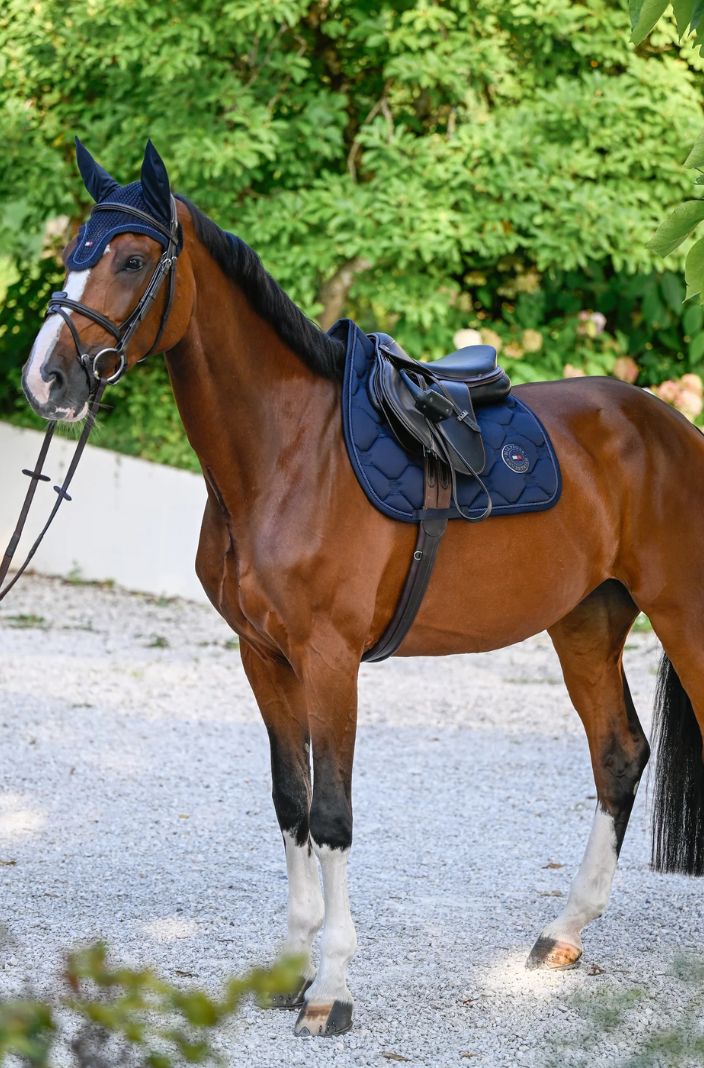 Tommy Hilfiger Equestrian Dressage Saddle Pad Liberty Desert Sky