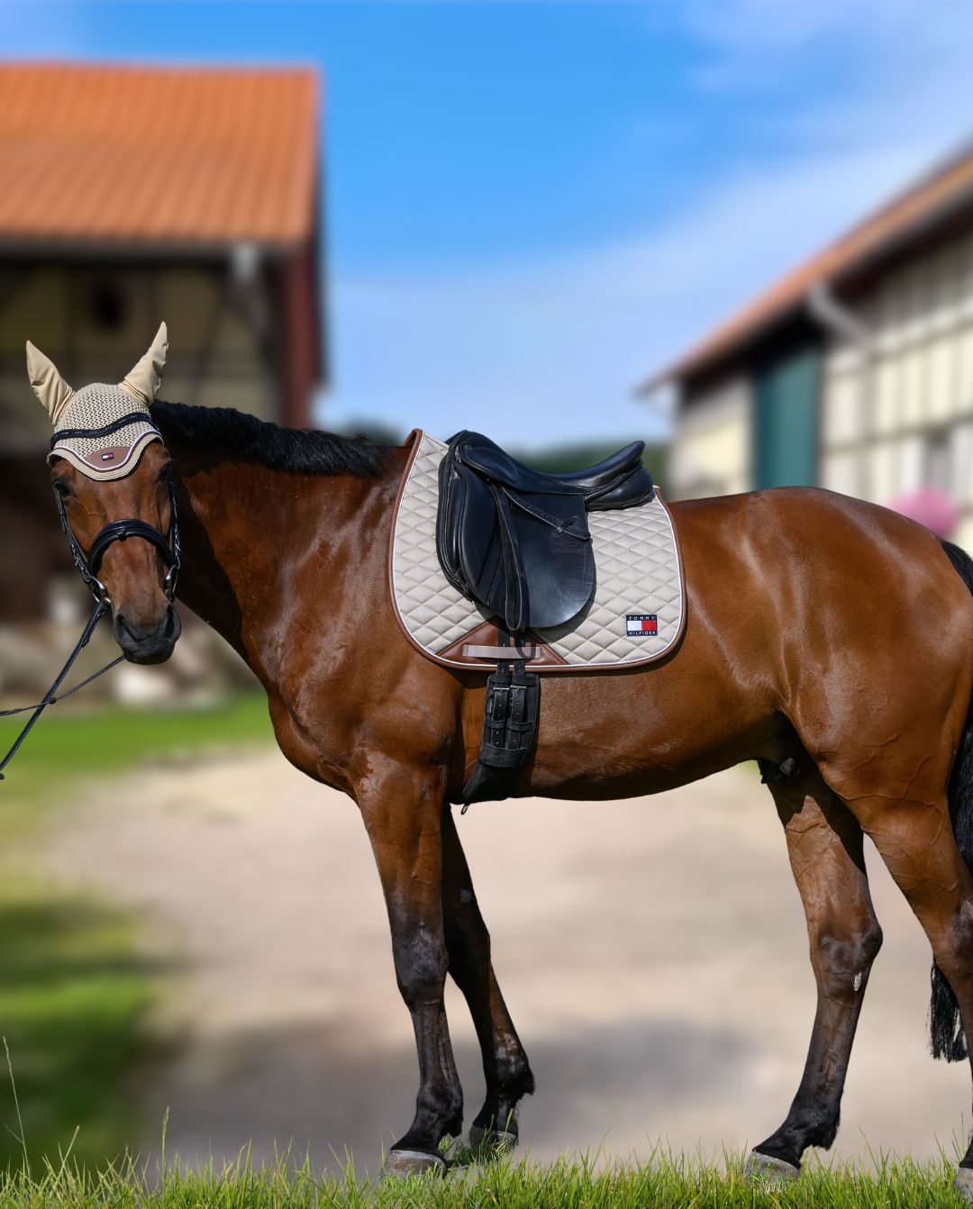 tommy-hilfiger-equestrian-dressurschabracke-princeton-beige-th15hsap906-009-kaufen-www.hotti24.de