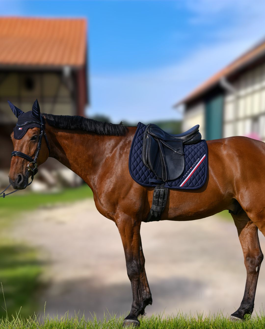 tommy-hilfiger-equestrian-dressurschabracke-stanford-desert-sky-th15hsap935-004-kaufen-www.hotti24.de