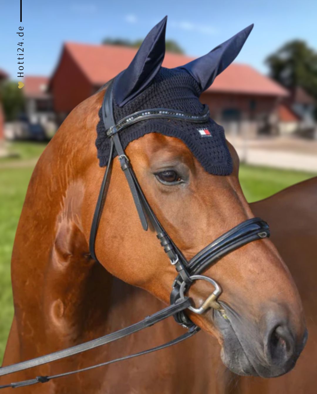 Tommy Hilfiger Equestrian »Fliegenhaube Lexington Desert Sky 🏷️