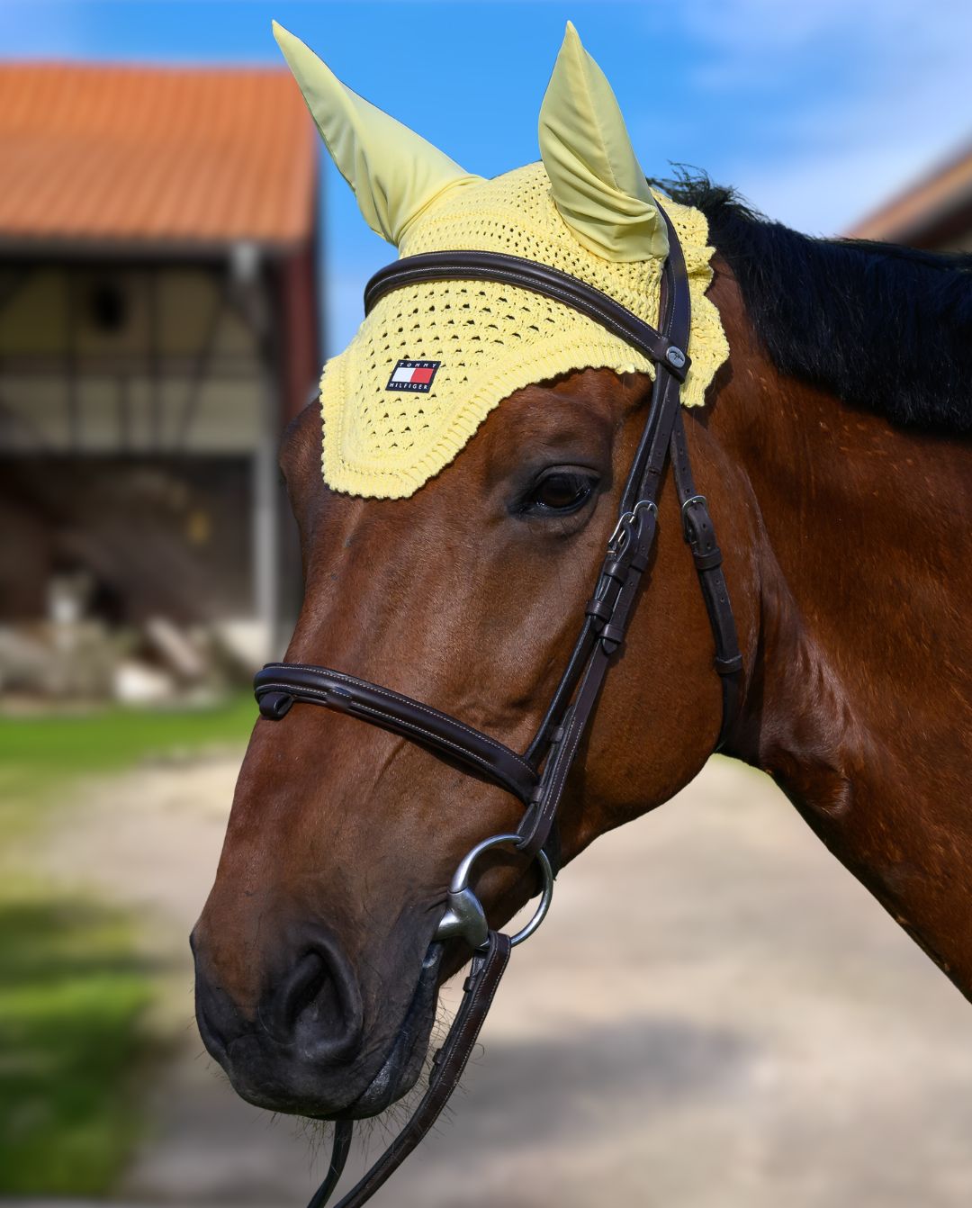 tommy-hilfiger-equestrian-fliegenhaube-lexington-gelb-th15hfly928-051-kaufen-www.hotti24.de
