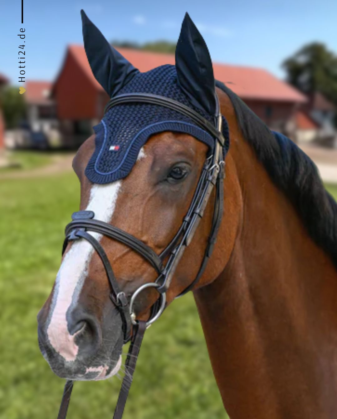Tommy Hilfiger Equestrian »Fliegenhaube Liberty Desert Sky