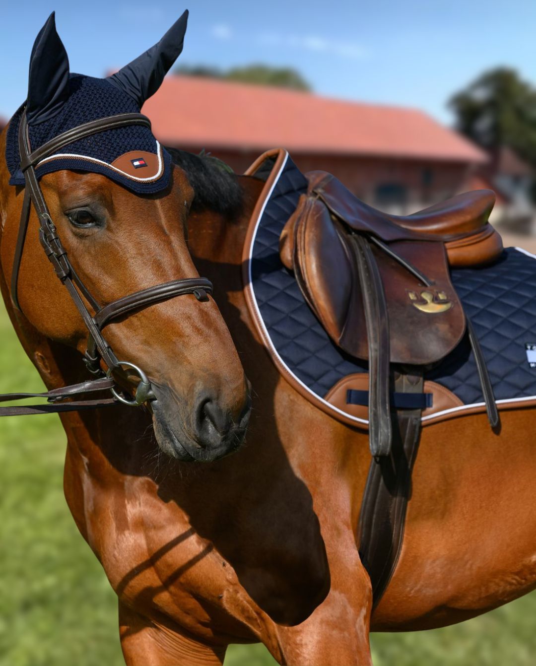 Tommy Hilfiger Equestrian »Fliegenhaube Princeton Desert Sky