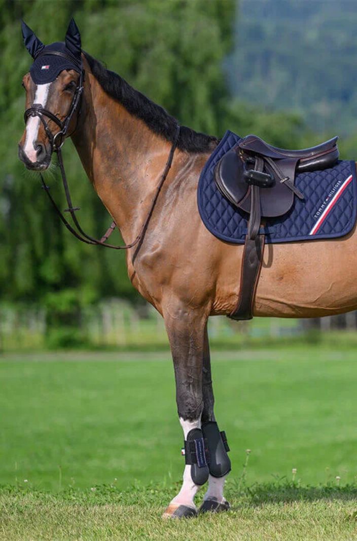 Tommy Hilfiger Equestrian Gamaschen Champion Schwarz