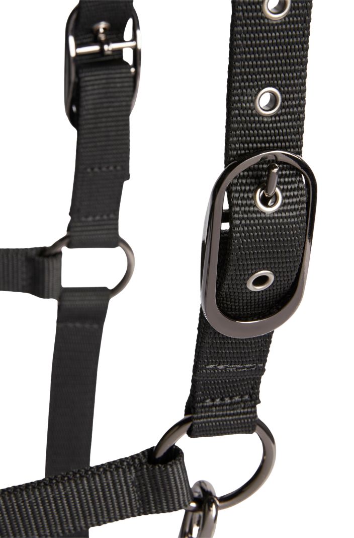 Tommy Hilfiger Equestrian Halfter mit Führstrick Yale Shine Schwarz