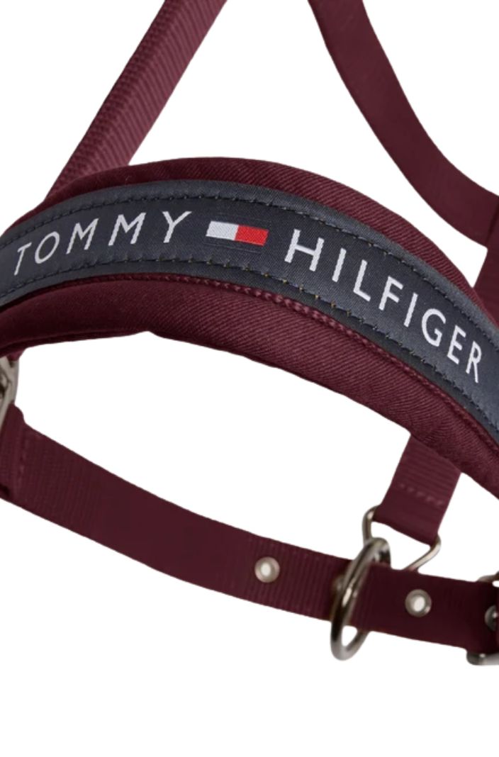 Tommy Hilfiger Equestrian Halfter & Strick Set Yale Deep Burgundy