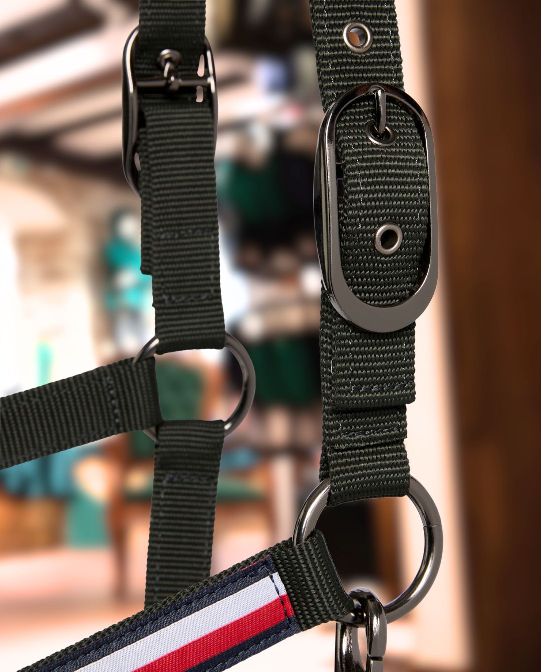 Tommy Hilfiger Equestrian »Halfter & Strick Set Yale Pine