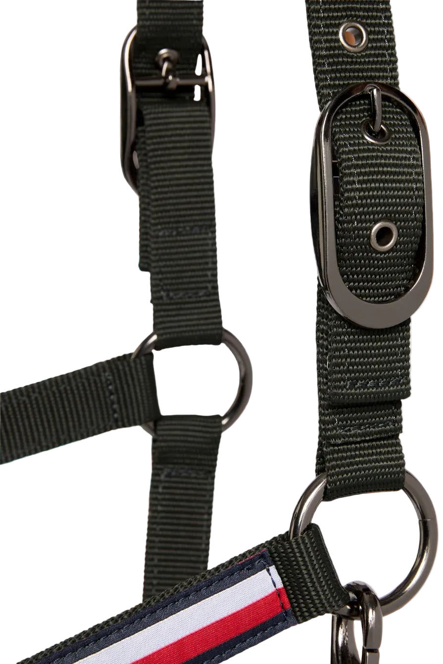 Tommy Hilfiger Equestrian Halter & Lead Rope Set Yale Pine