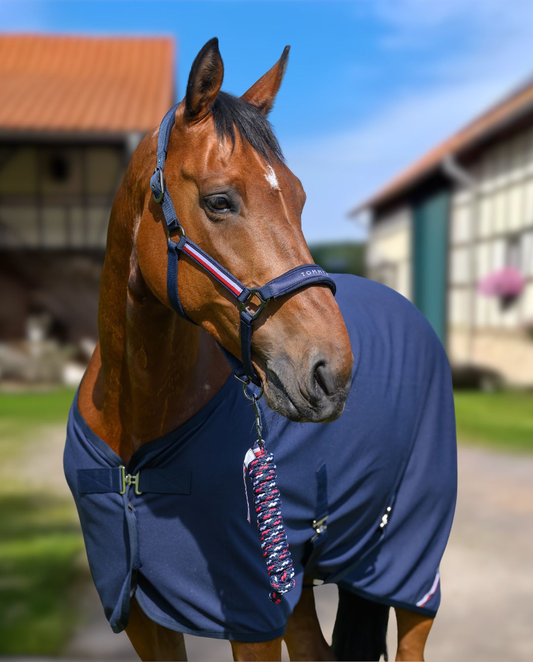 tommy-hilfiger-equestrian-halfter-strick-yale-desert-sky-th15hset994-004-kaufen-www.hotti24.de