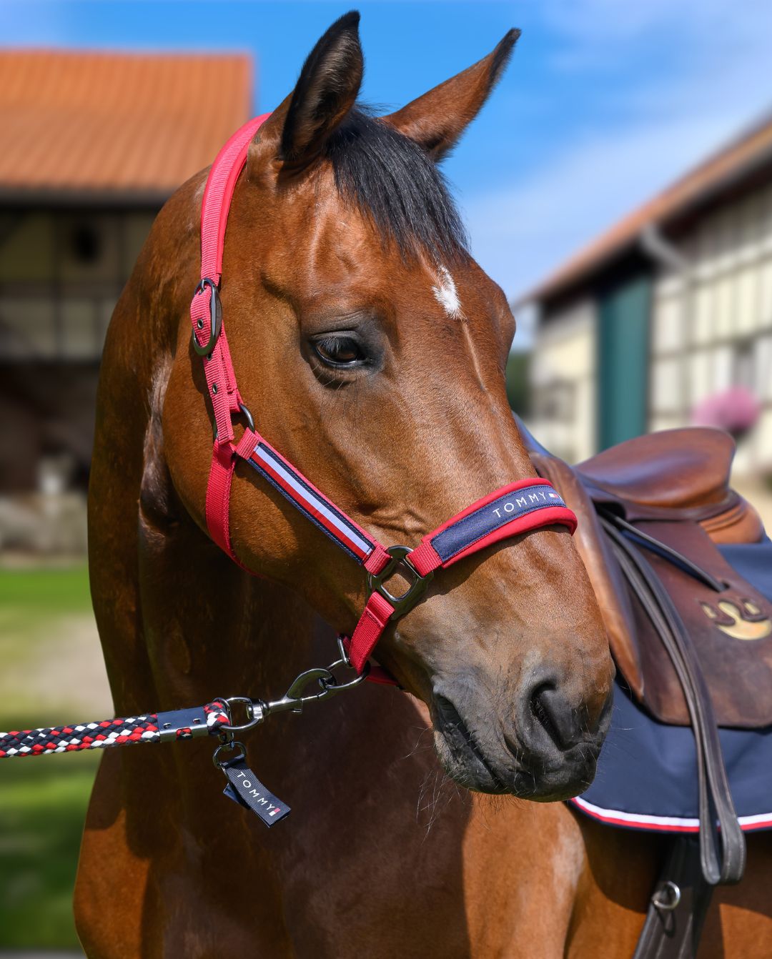 tommy-hilfiger-equestrian-halfter-strick-yale-primary-red-th15hset994-005-kaufen-www.hotti24.de