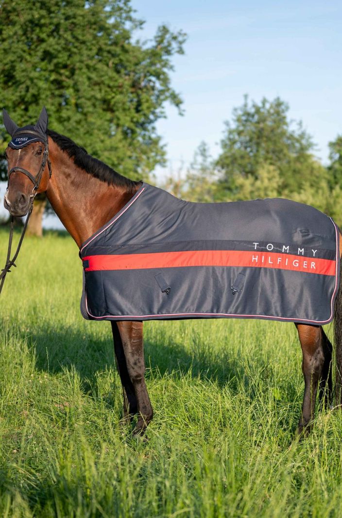 Tommy Hilfiger Equestrian Abschwitzdecke Color Block Desert Sky