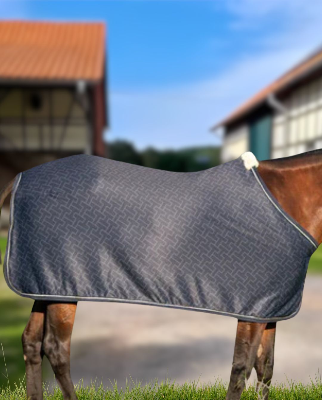 TOMMY HILFIGER »Abschwitzdecke Windsor Light & Dry