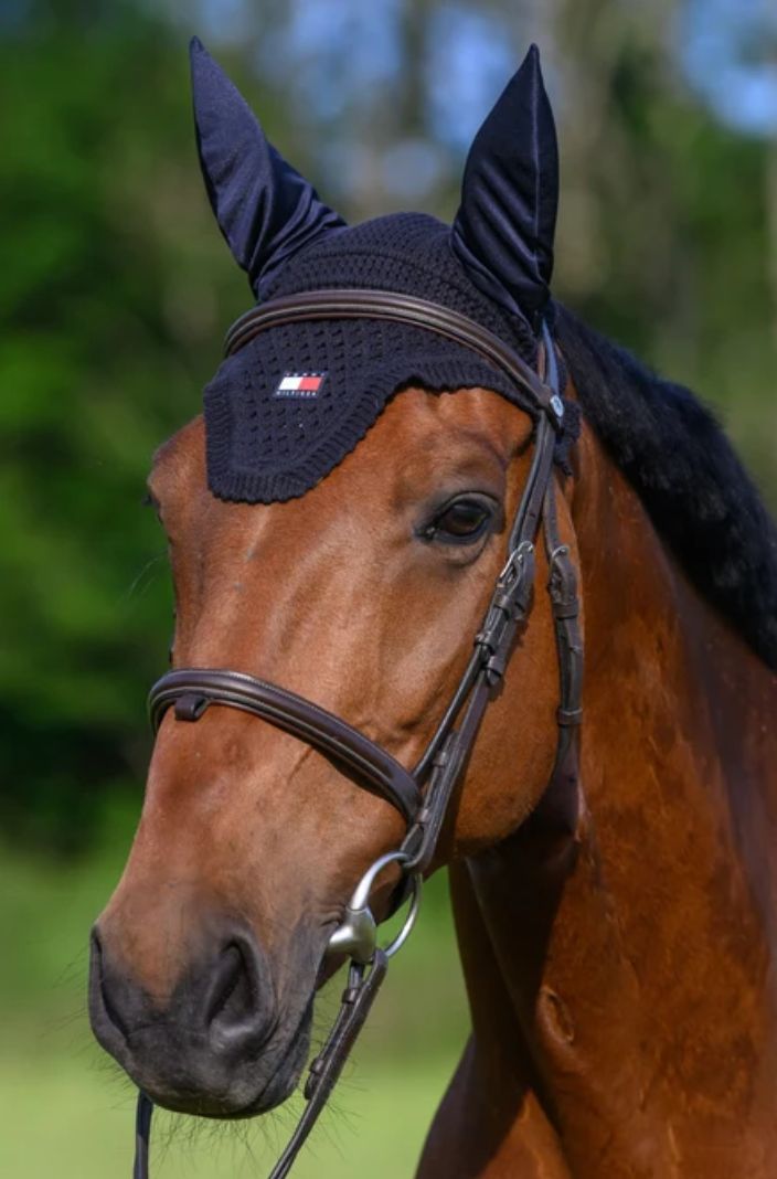 Tommy Hilfiger Equestrian »Fly Veil Lexington Desert Sky 🏷️