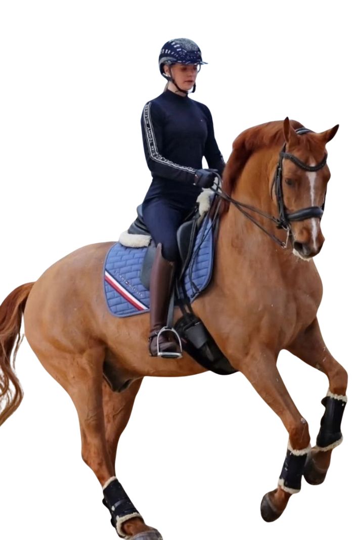 Tommy Hilfiger Equestrian Jumping Saddle Pad London Blue Coast