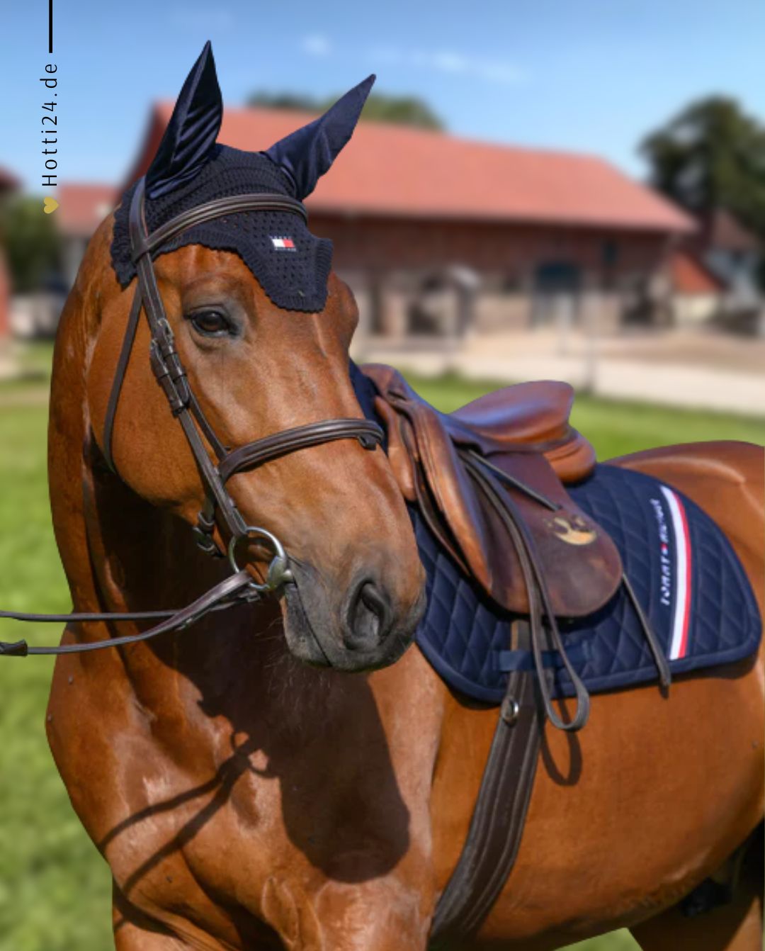 Tommy Hilfiger Equestrian »Springschabracke Stanford Desert Sky 🏷️