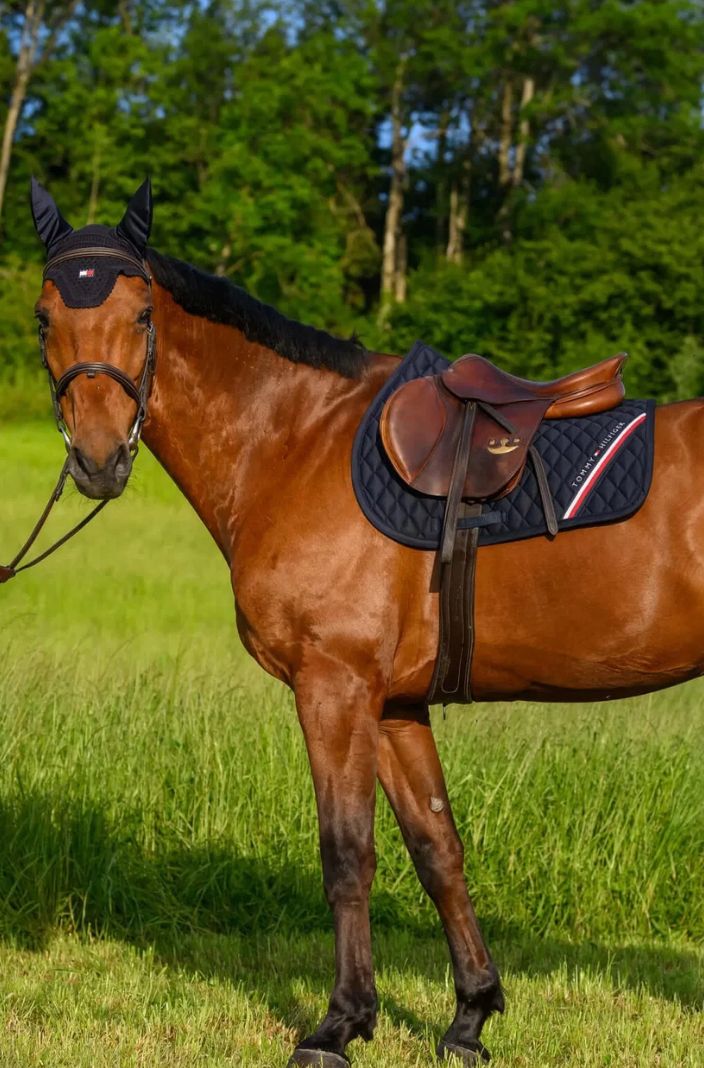Tommy Hilfiger Equestrian »Jumping Saddle Pad Stanford Desert Sky 🏷️ 🚩out of stock