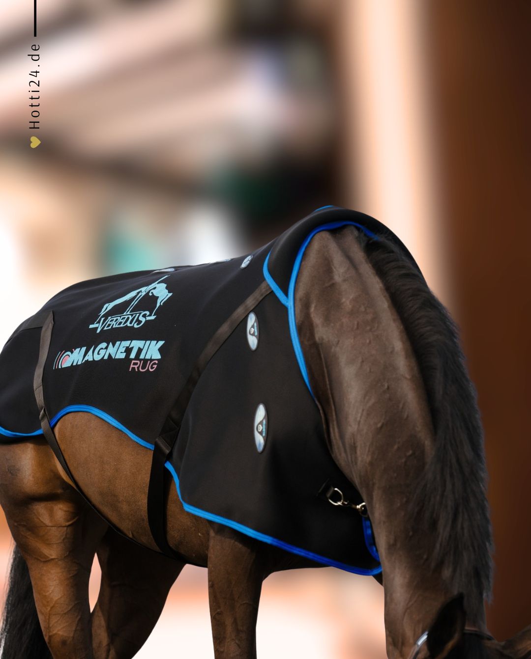 Veredus »Magnetfelddecke Magnetik Black