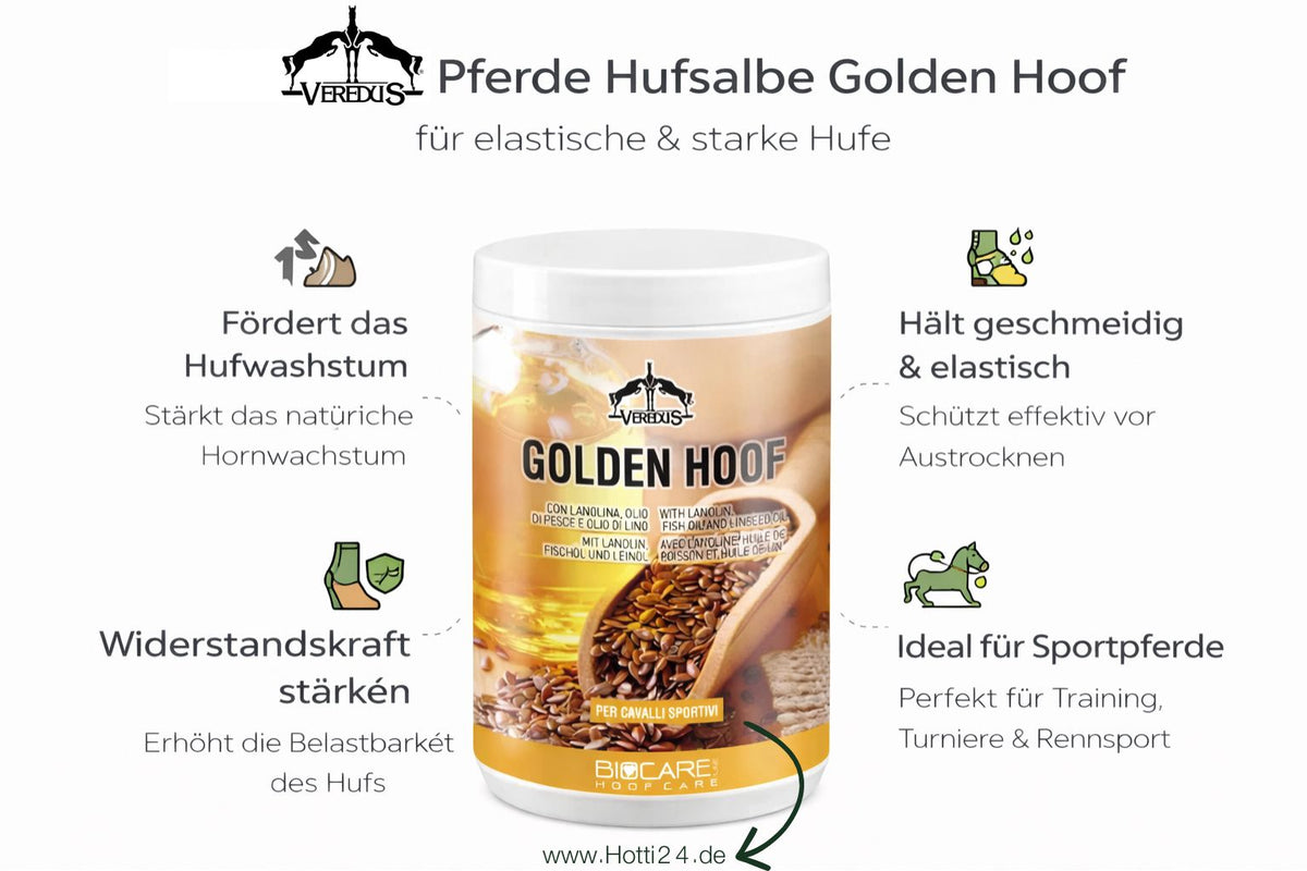 veredus-pferde-golden-hoof-feature
