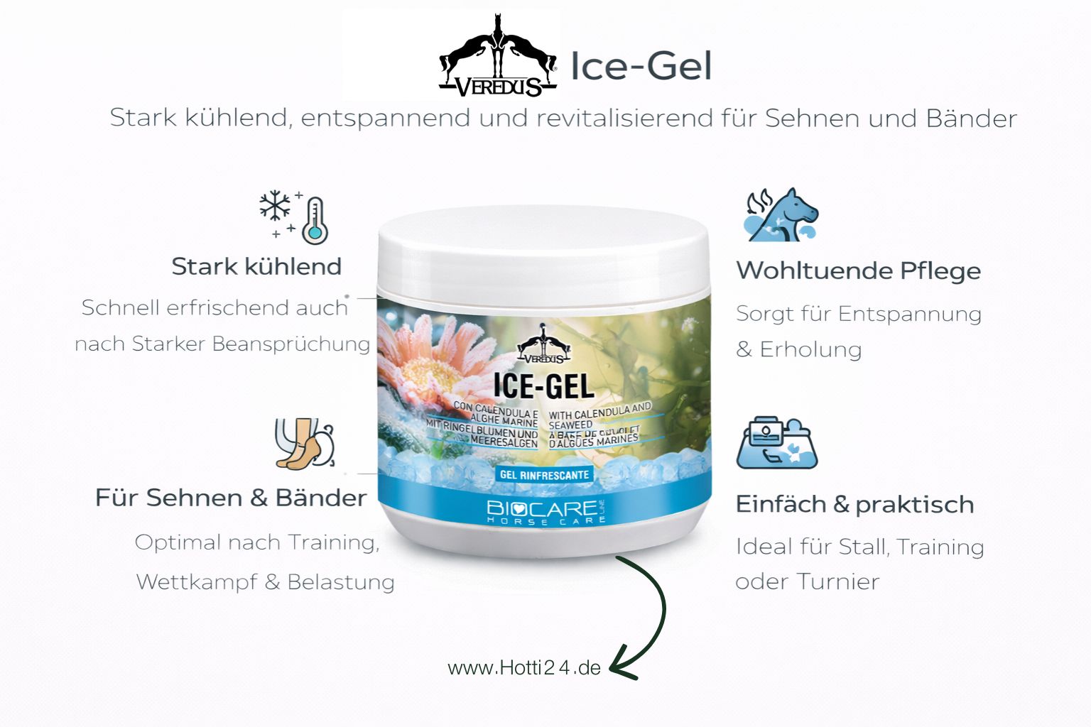 veredus-pferde-ice-gel-feature
