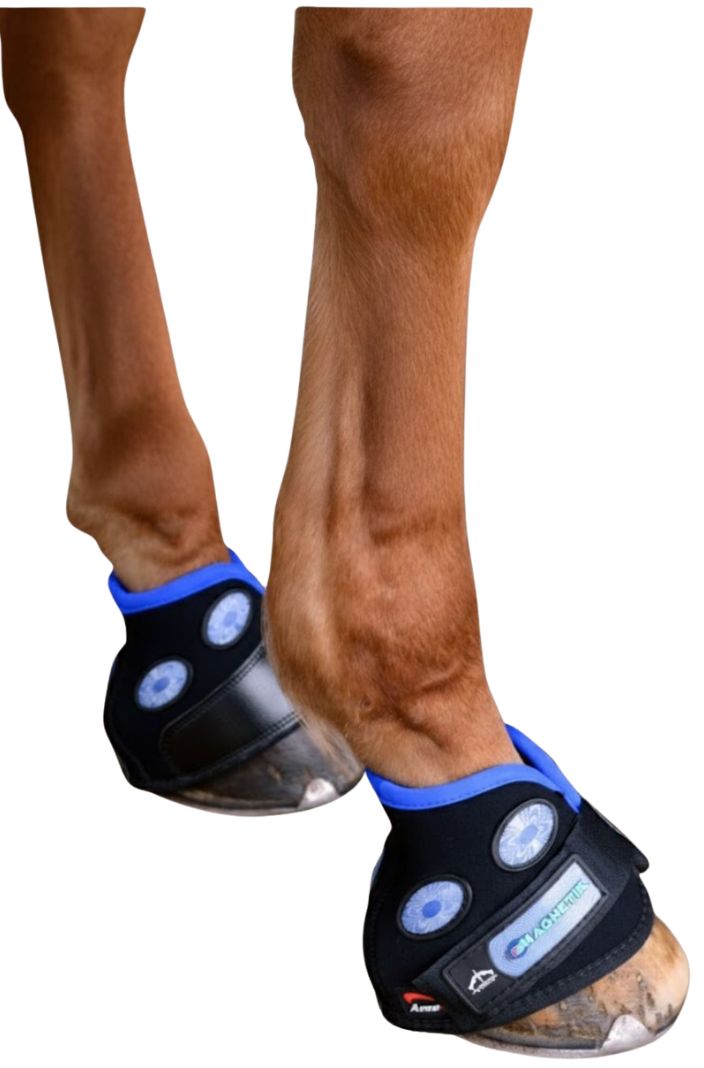Veredus Magnet Hufglocken Magnetik Hoof Boot