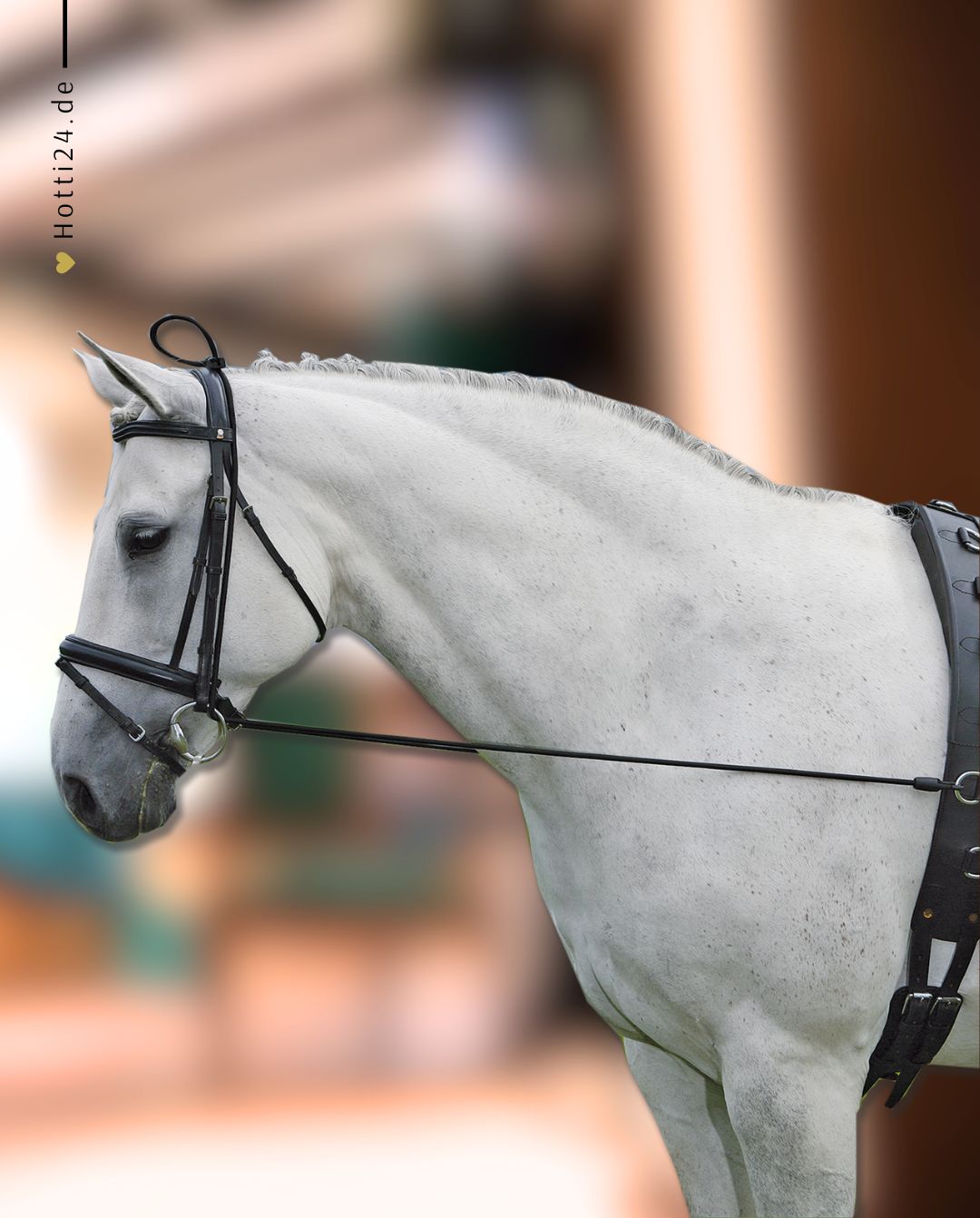 waldhausen-halsverlaengerer-elastic-black-178201-kaufen-www.hotti24.de