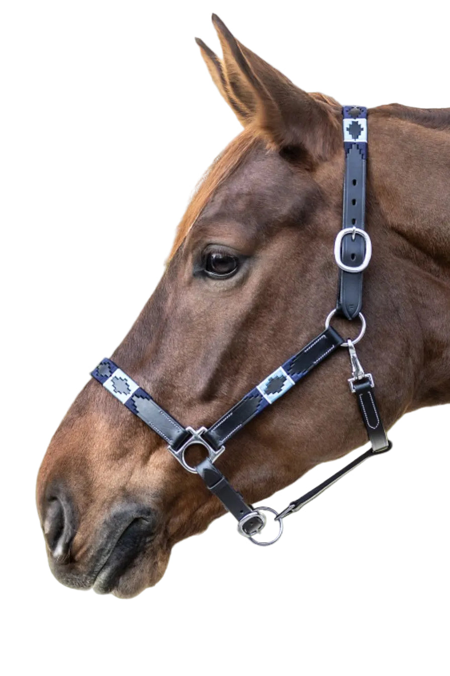 Waldhausen Halfter Leder Polo Schwarz