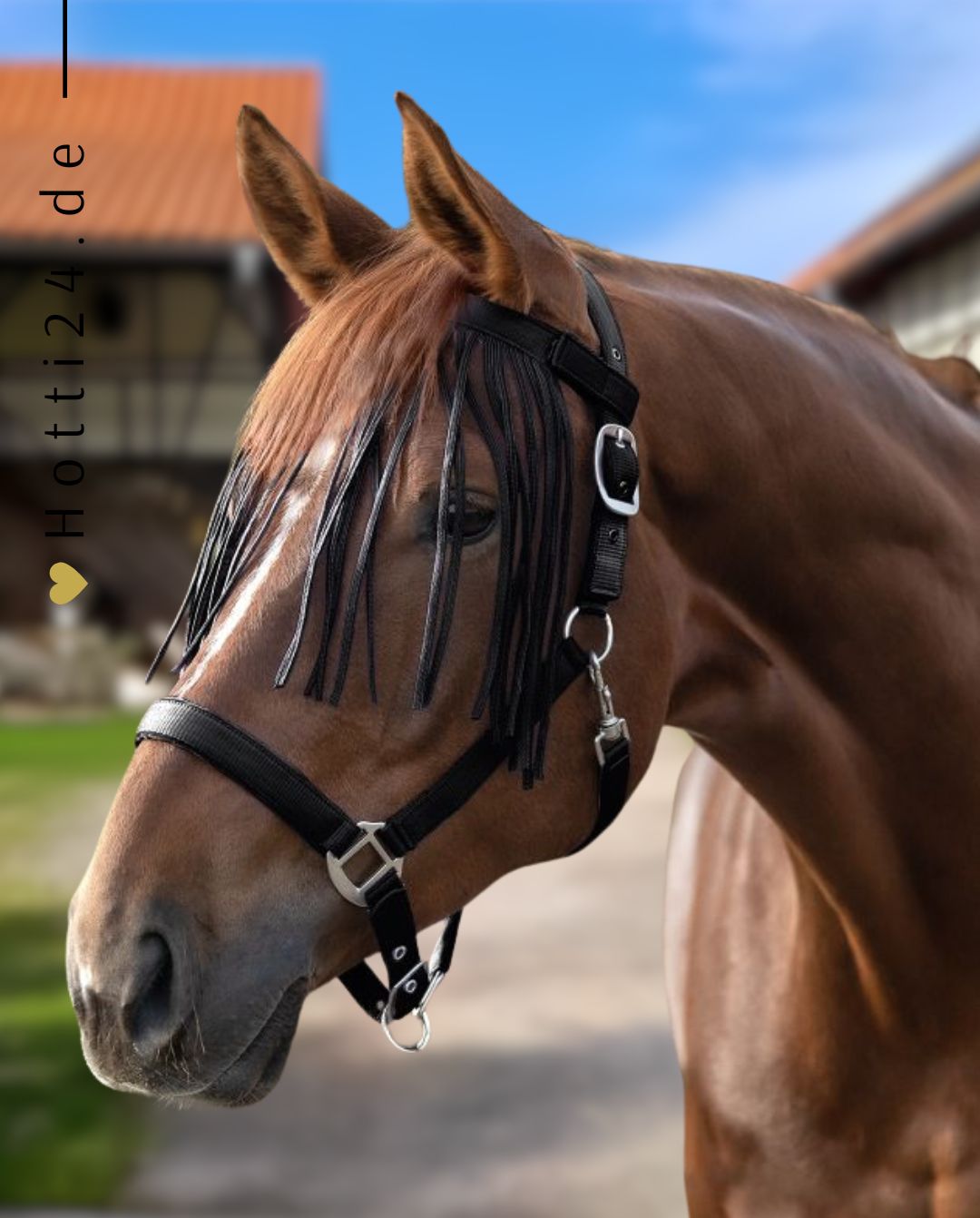 WALDHAUSEN »Fliegenfransen Salon Black