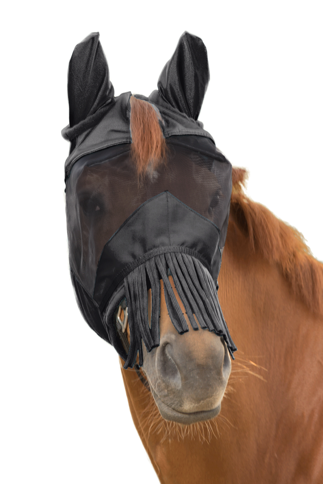 Waldhausen "Premium Fly Mask 3-in-1