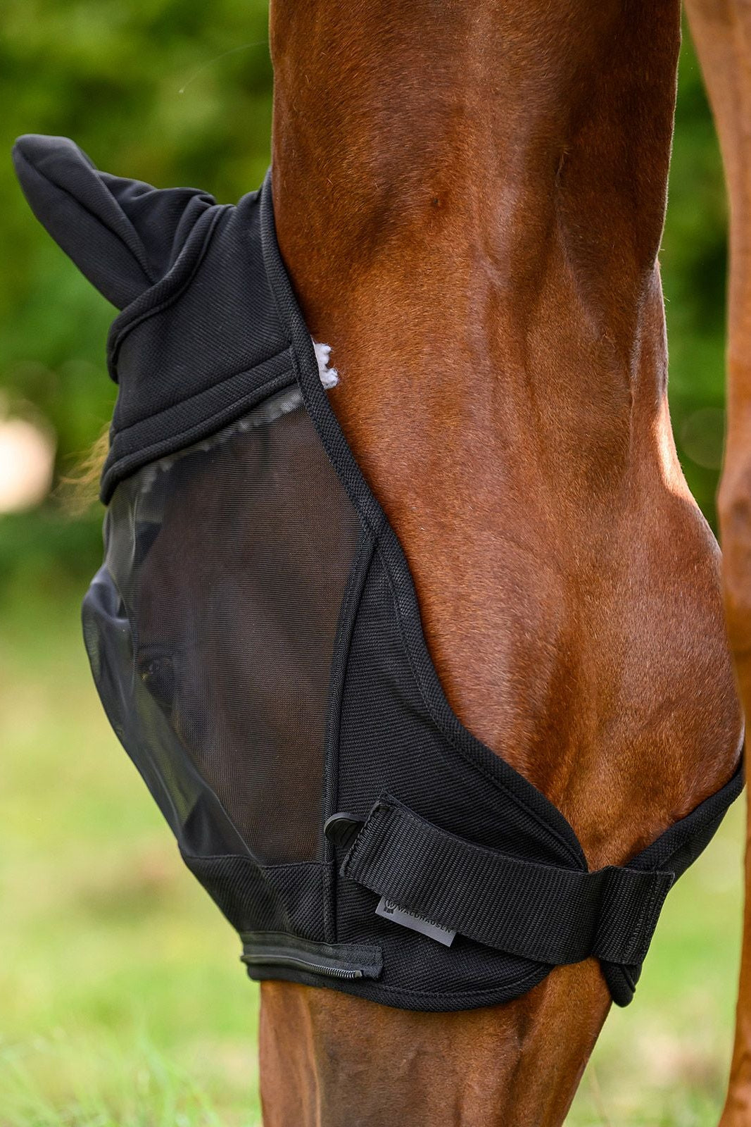 Waldhausen "Premium Fly Mask 3-in-1
