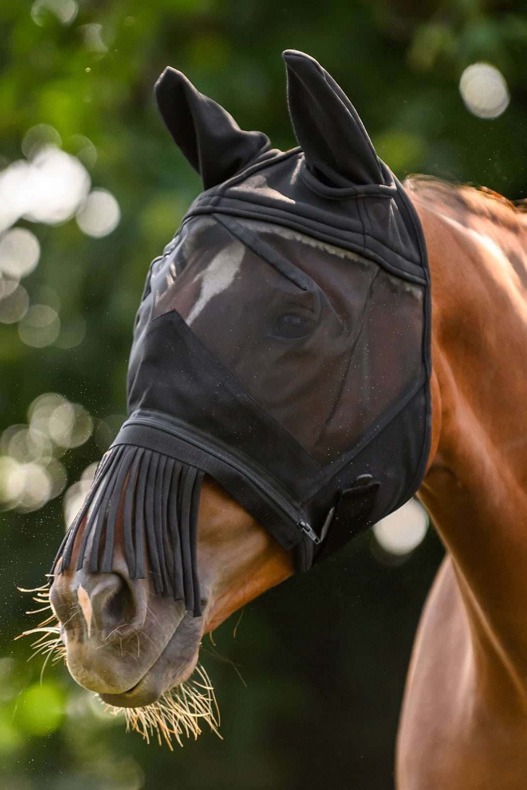 Waldhausen "Premium Fly Mask 3-in-1