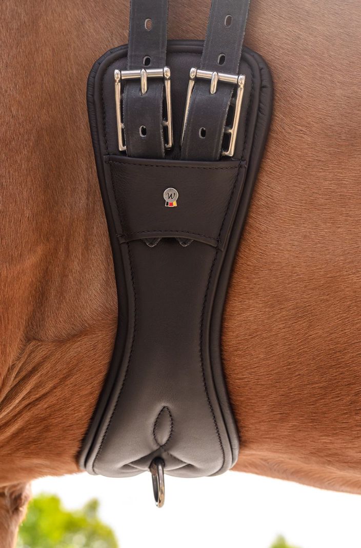 Waldhausen Sattelgurt Kurzgurt Comfort Braun