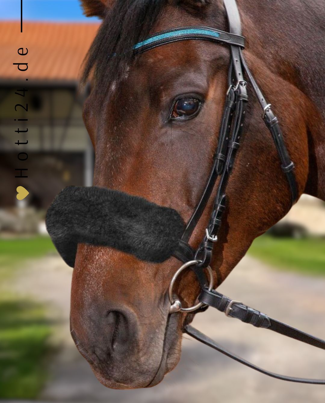 waldhausen-polster-halfter-black-21447001-kaufen-www.hotti24.de