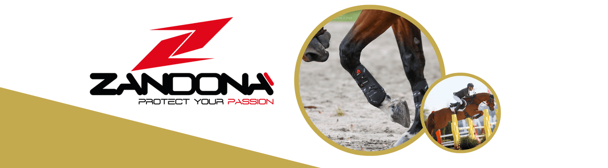 Zandona Equestrian Banner