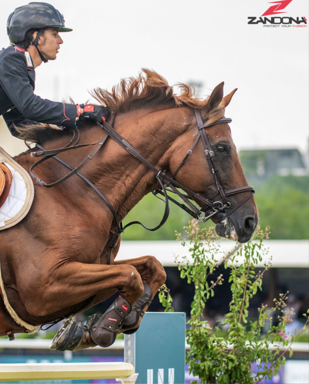 Zandona »Gamaschen Carbon Pro Brown