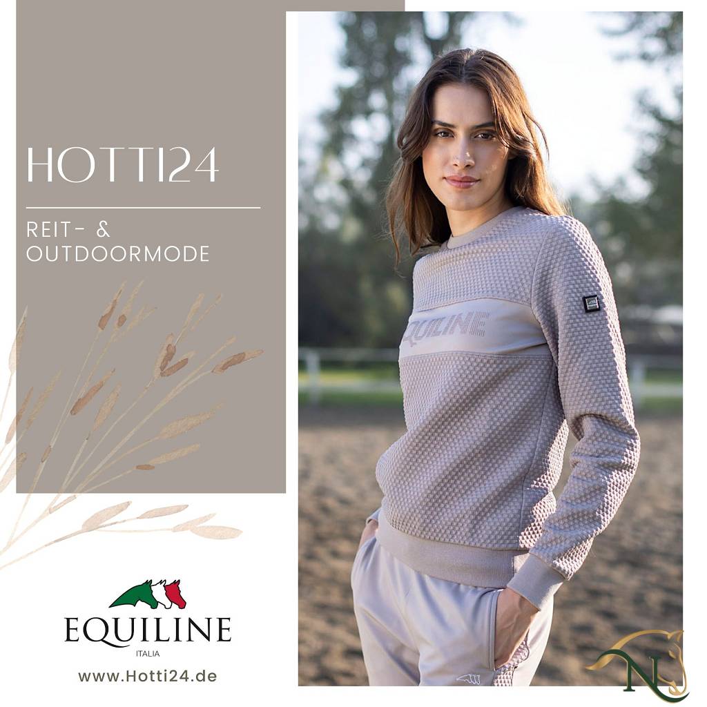 damen pullover braun vorne
